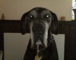 Sam
