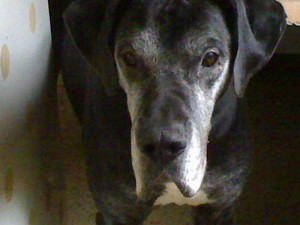 Sam