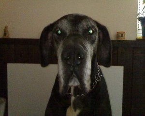 Sam