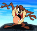 taz